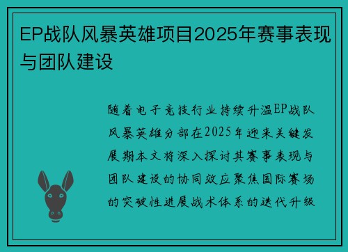EP战队风暴英雄项目2025年赛事表现与团队建设